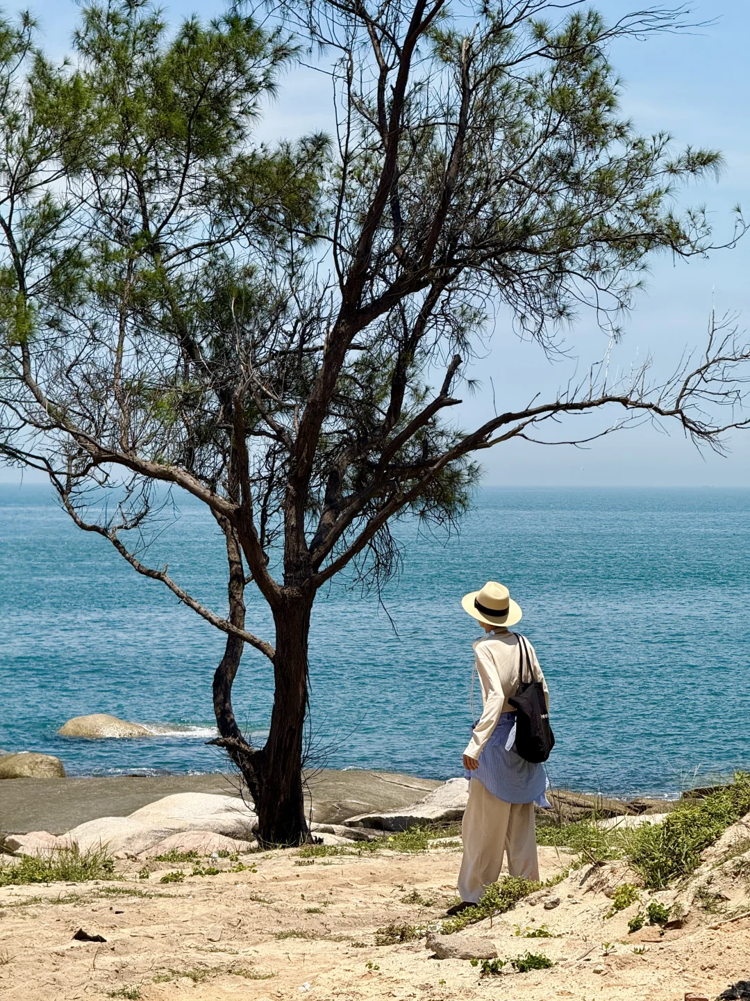 live图，我发现了东山岛的小众景点～