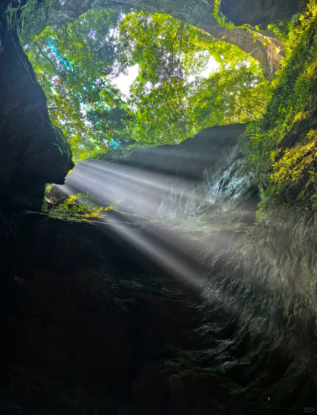 杭州避暑胜地「仙桥洞」绿野仙踪+ 丁达尔效应