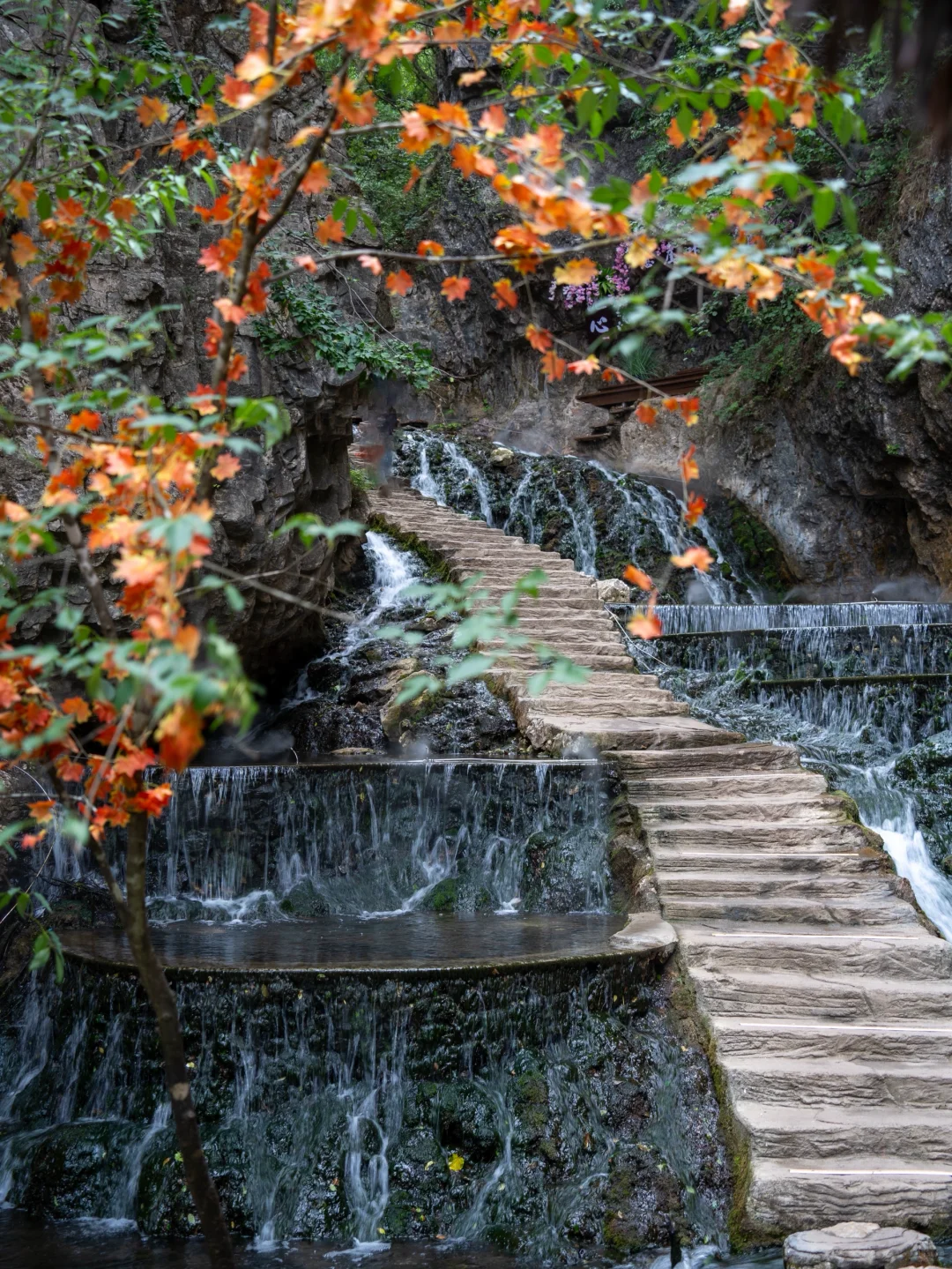 🍃郑州出发3小时！🌳夏季23度的避暑胜地！！