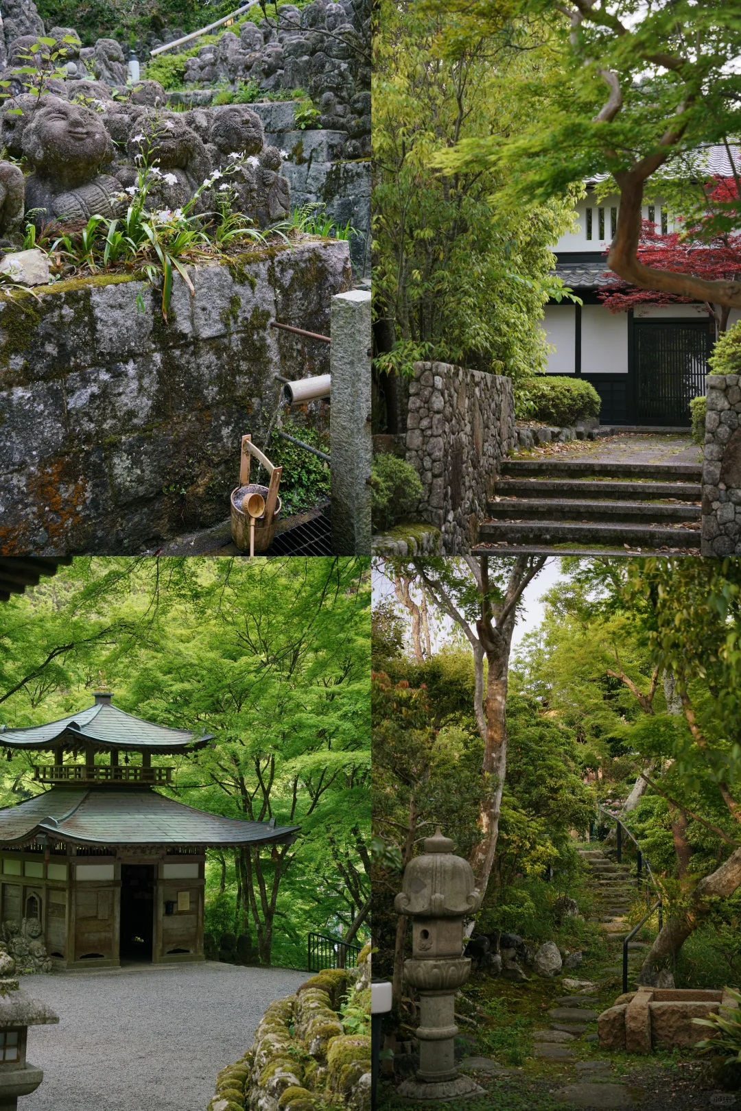 未曾设想的道路-京都攻略（避开人流版）