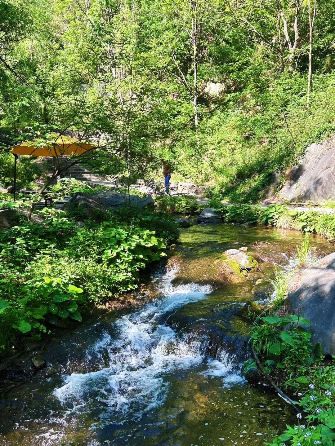 郑州周边｜闯入现实版绿野仙踪——重渡沟