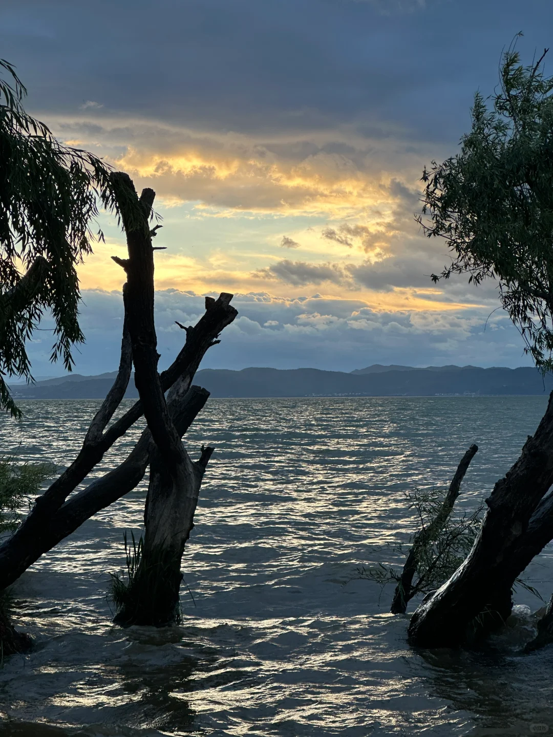 昆明到底谁爱去啊（我！附小众三日游攻略）