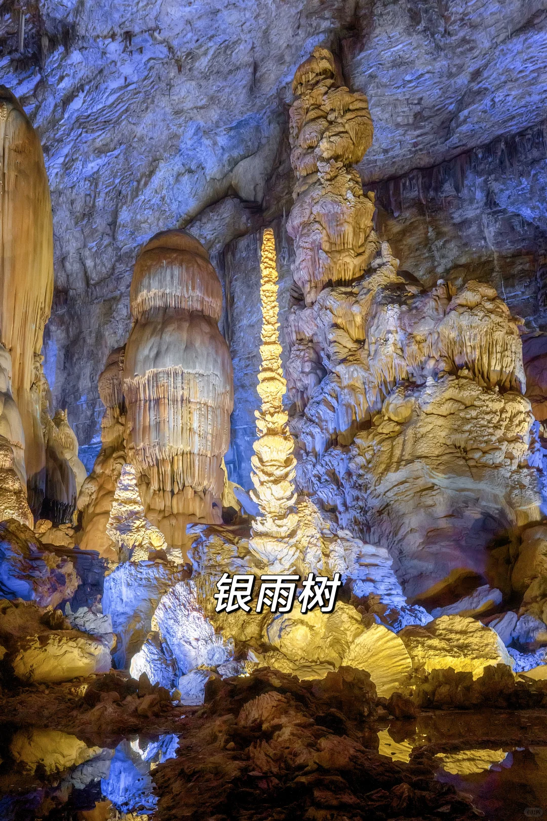 🏞️贵州避暑仙境！5大必打卡景区全攻略