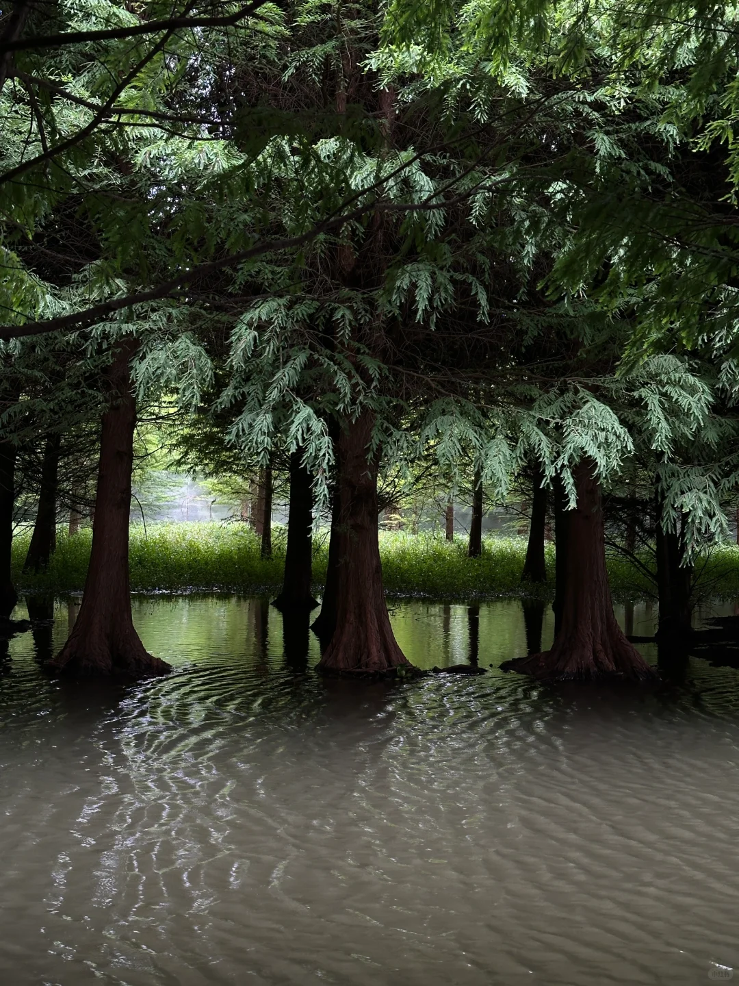 昆明到底谁爱去啊（我！附小众三日游攻略）
