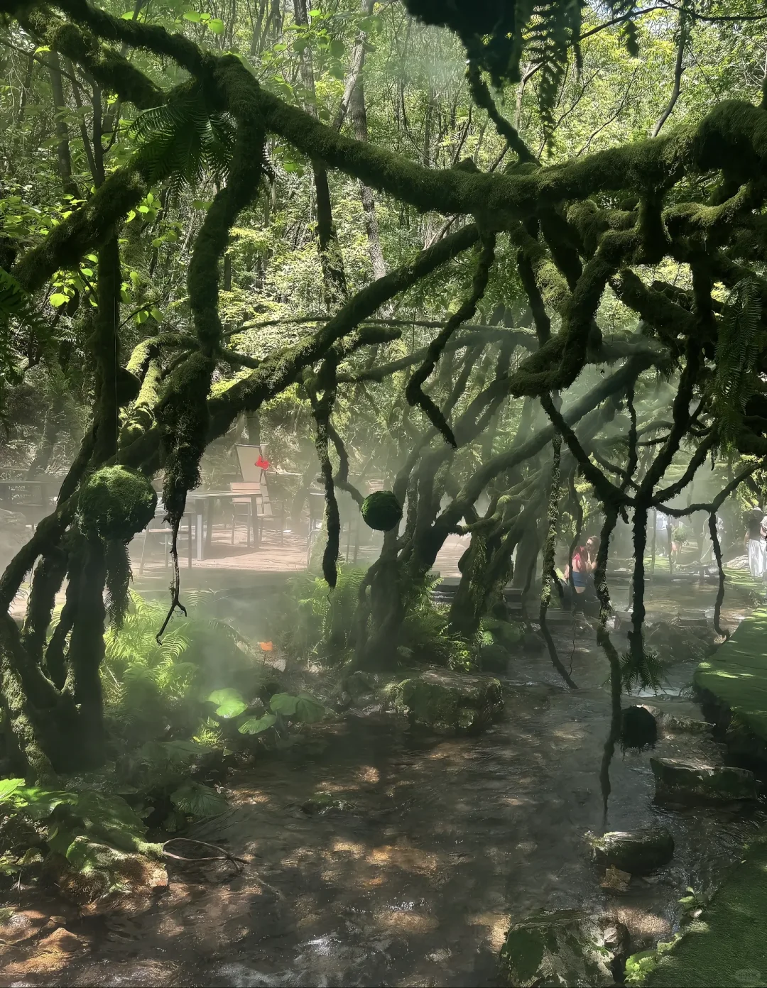 郑州周边｜闯入现实版绿野仙踪——重渡沟