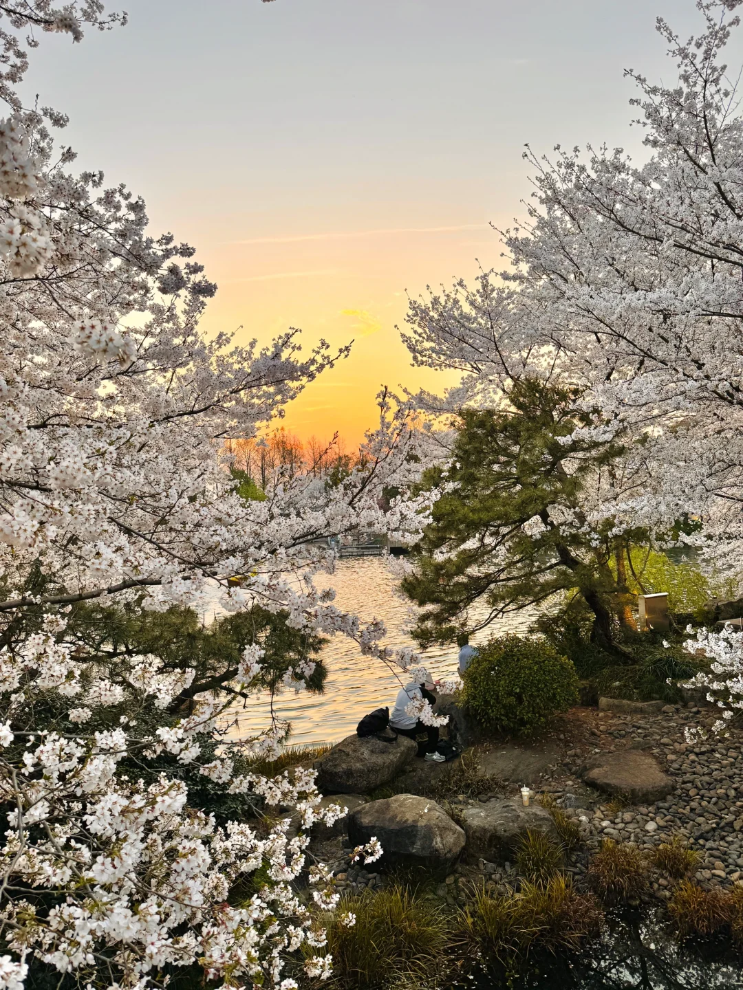 以为西湖够美了，直到我去了这里……