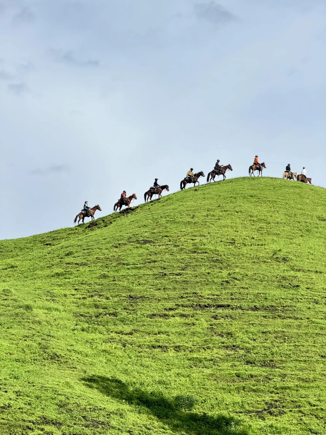 在新疆拍到了，我的人生live图！