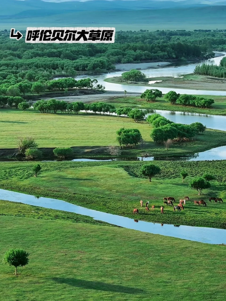 人生建议：6-9月一定要去一次内蒙古