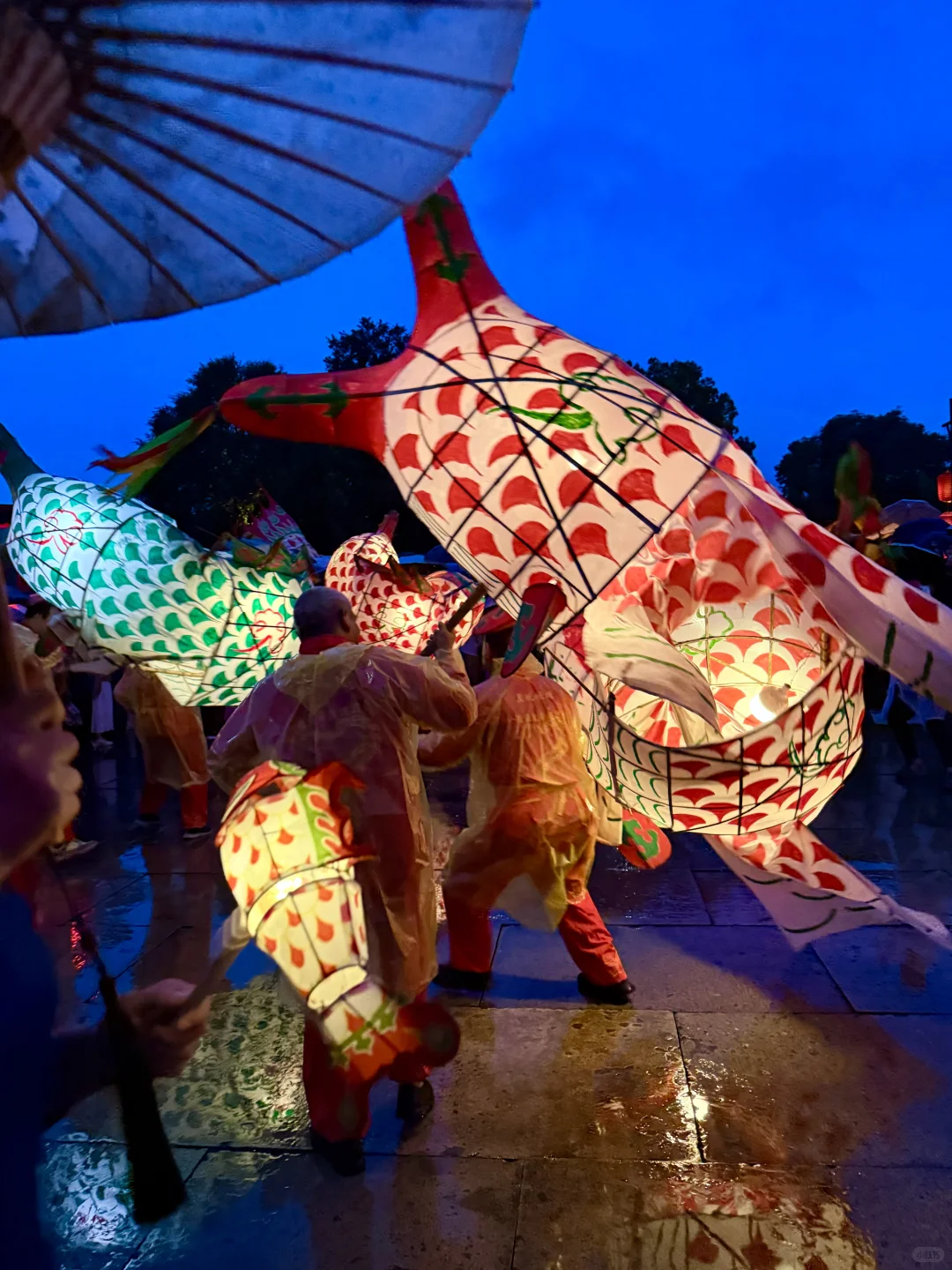 游呈坎 一生无坎🎏