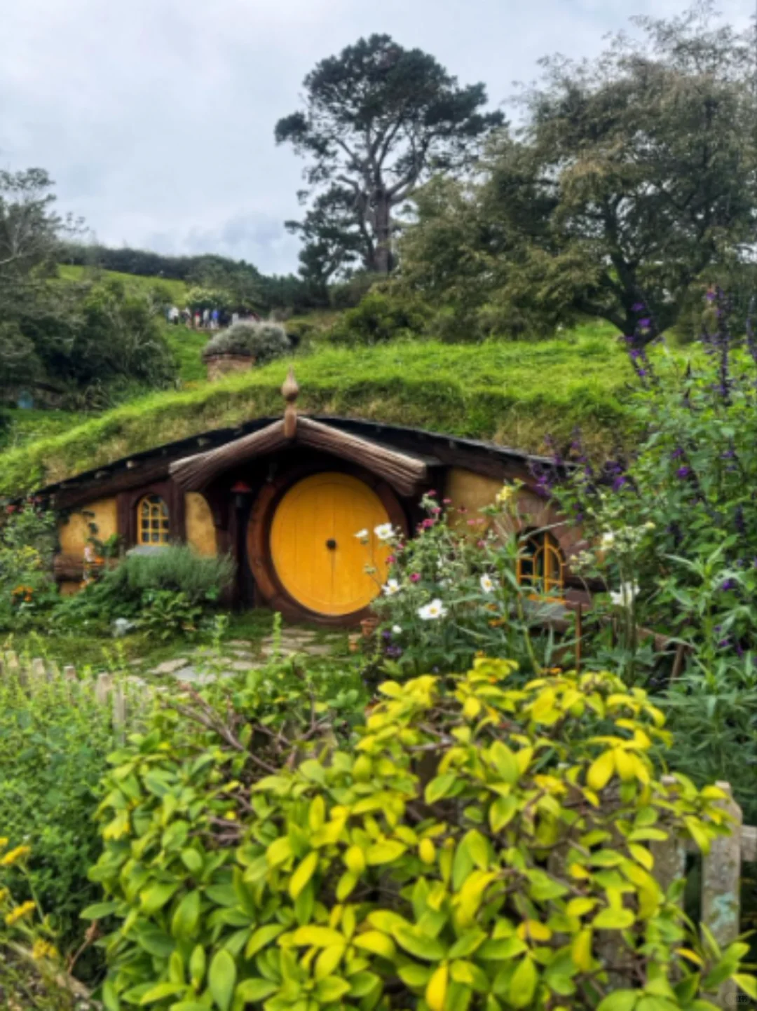 存下吧！很难找到的2025新西兰旅游攻略。。