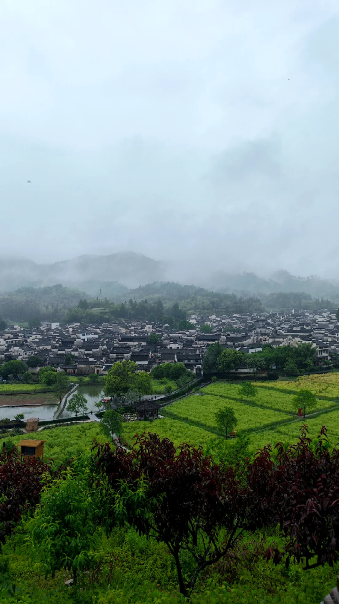 徽州古村四天三晚行程分享