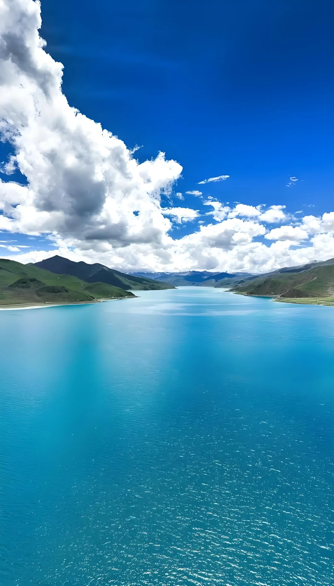 西藏后劲太大了！😭