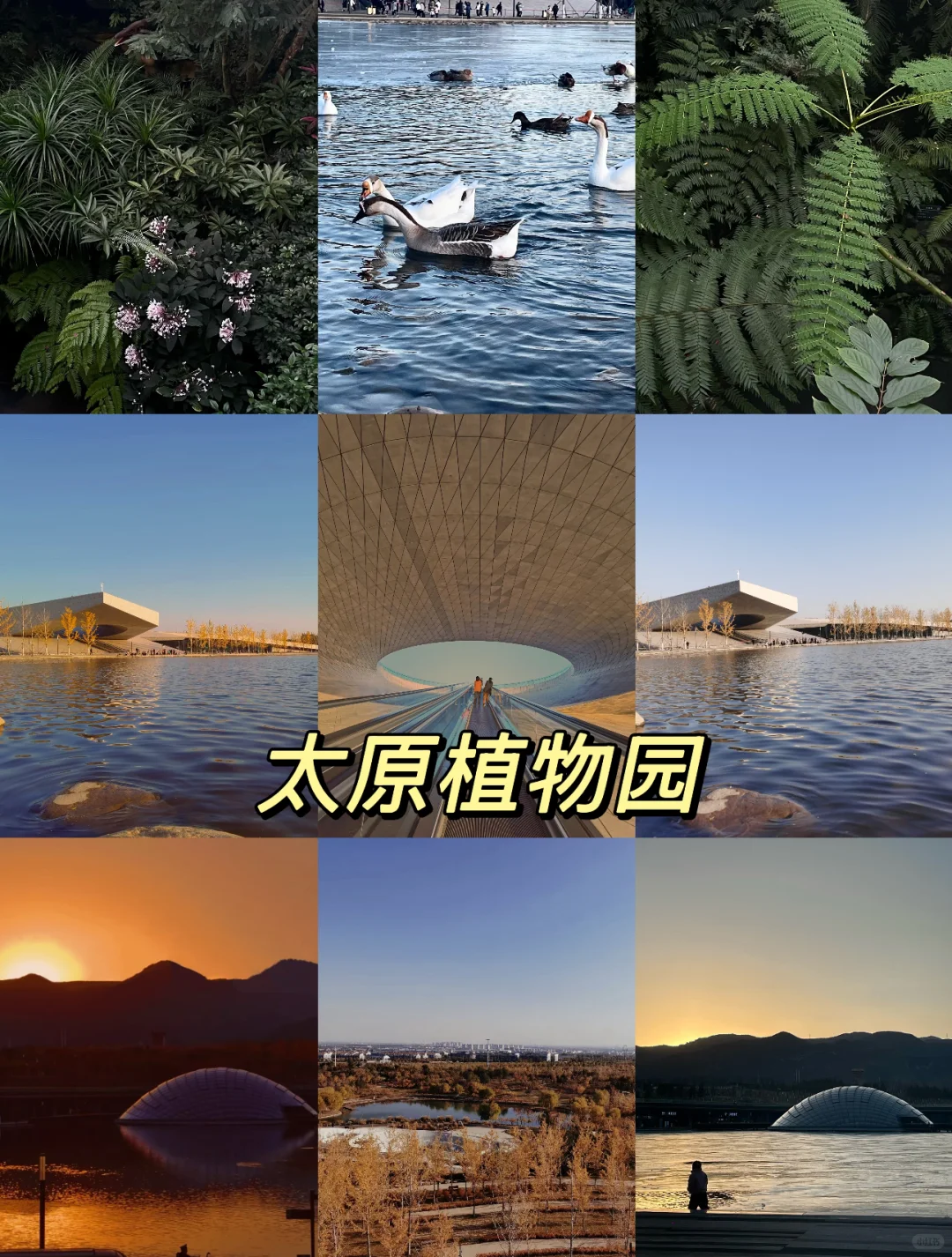 太原 | 第一次来太原，citywalk逛吃攻略来了