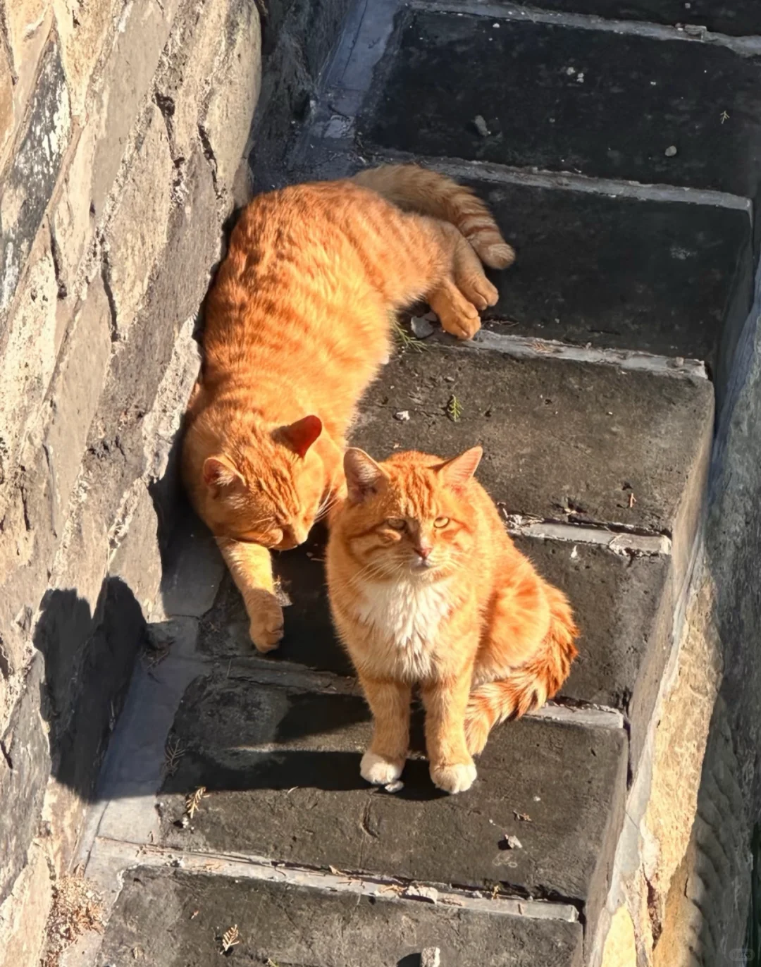 总要去趟首都吧