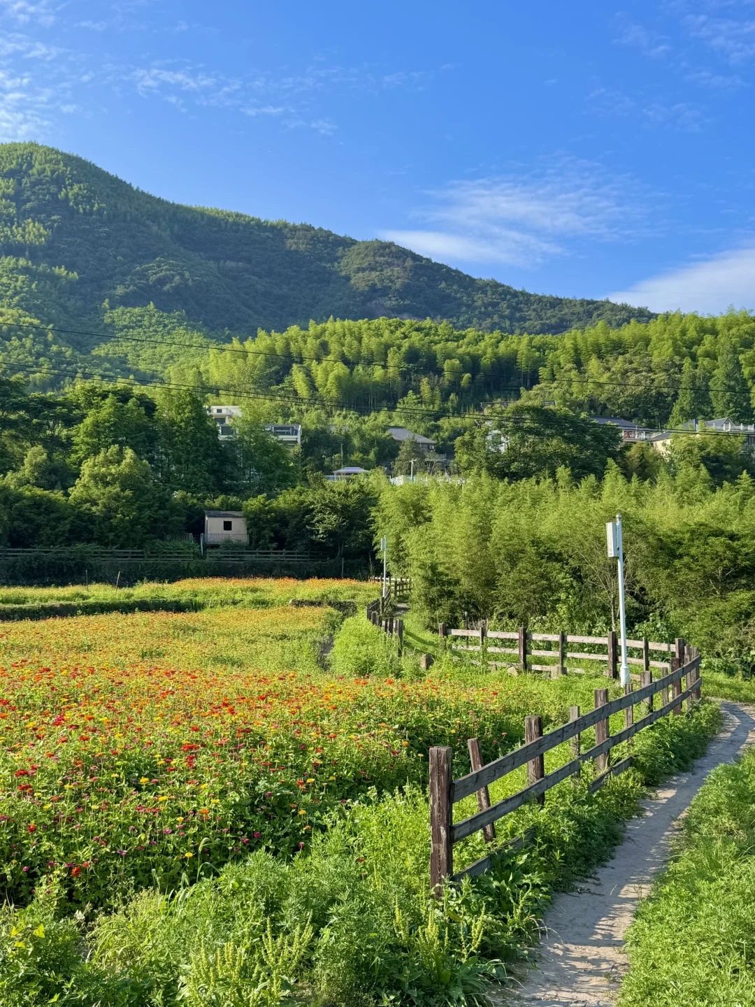 去莫干山一次等于看心理医生一百次‼️附攻略