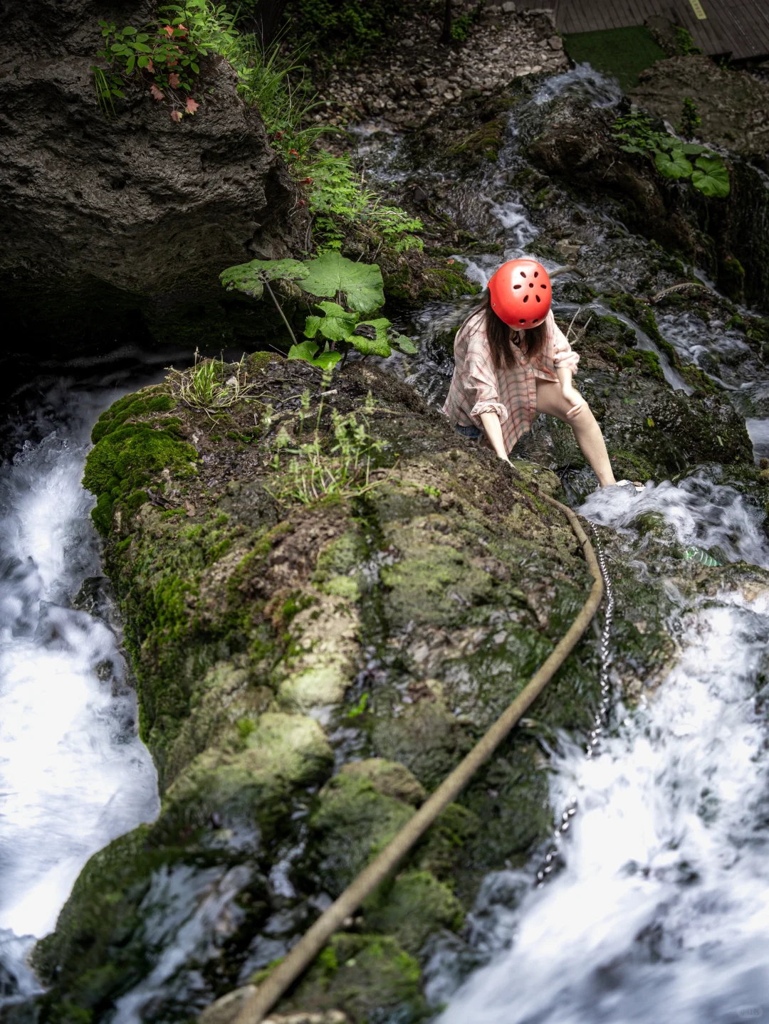 🍃郑州出发3小时！🌳夏季23度的避暑胜地！！
