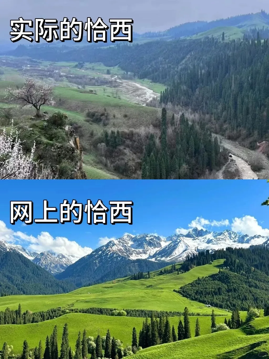 xhs别把人当傻子，新疆伊犁5—6月听一句劝