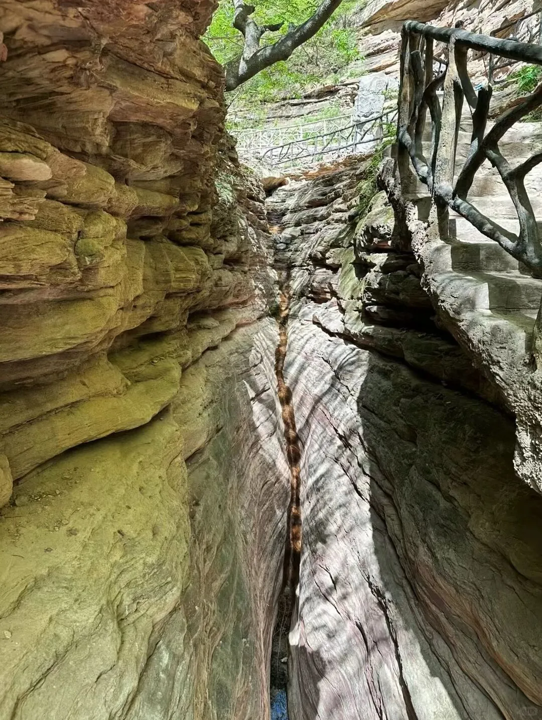 旅游才是夏天该做的事情！