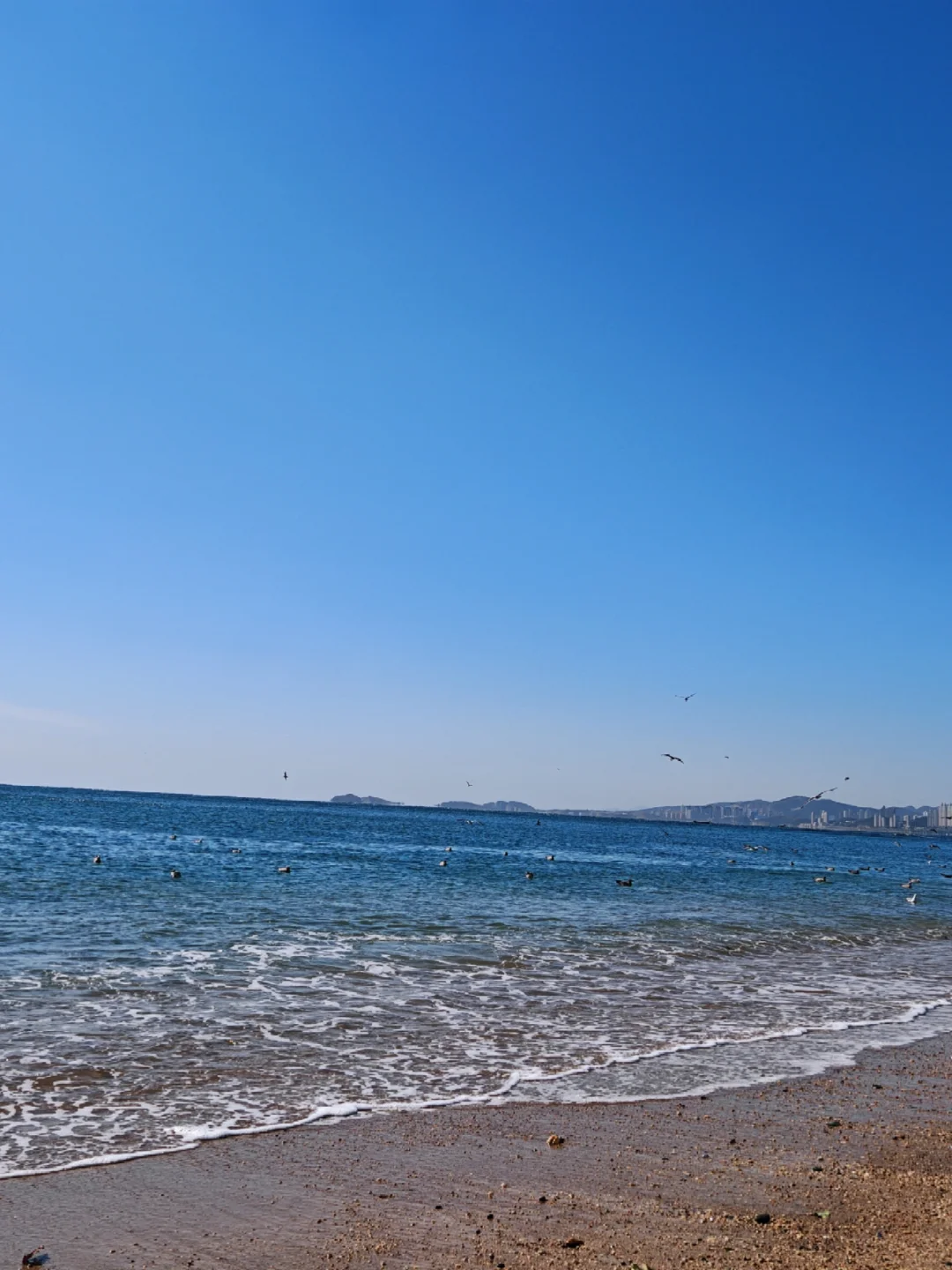 大连刚回✈️一个漂亮又浪漫的海滨城市