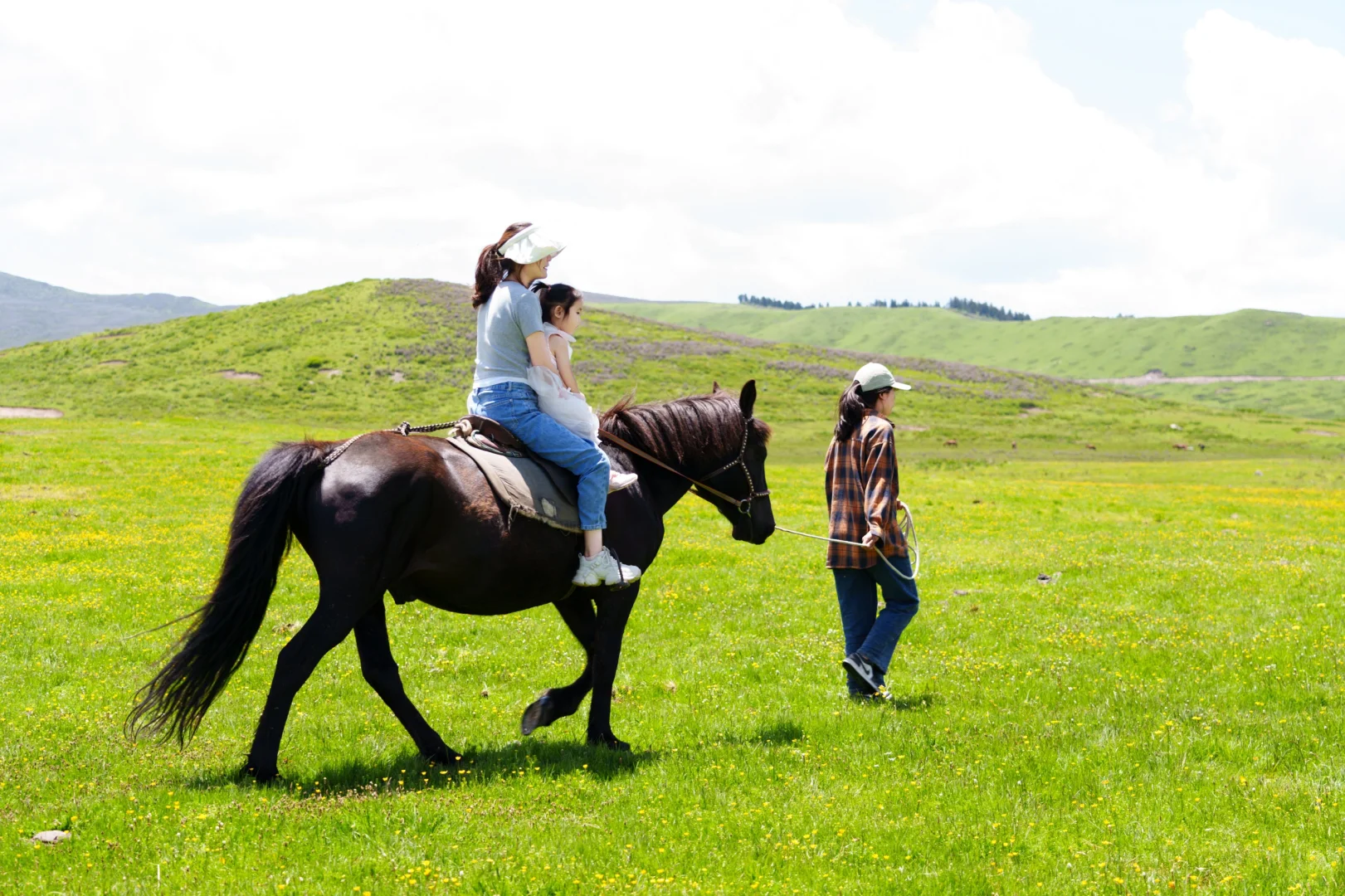 花海去什么俄么塘，达格则啥都能实现。