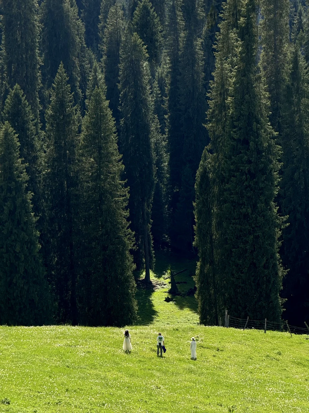 在新疆拍到了，我的人生live图！