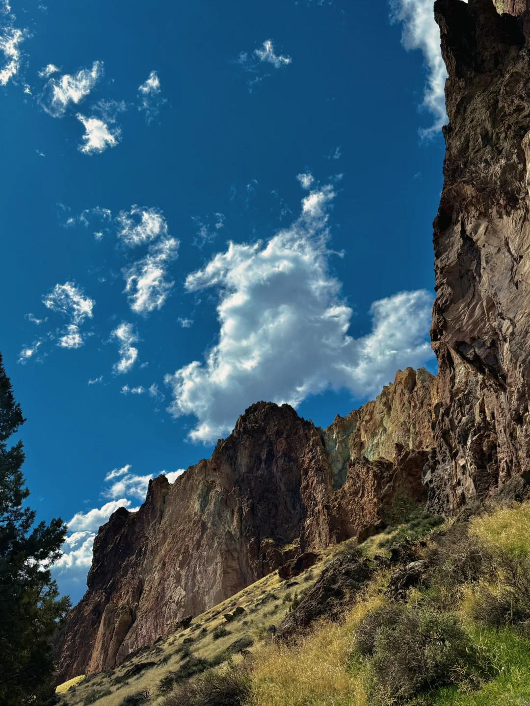 俄勒冈｜⛰️五天四晚最强保姆级旅游攻略