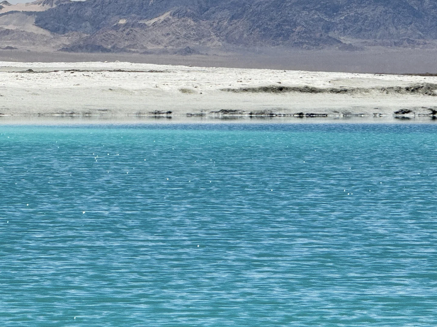 终于和闺蜜攒够3k左右,去了一趟大西北