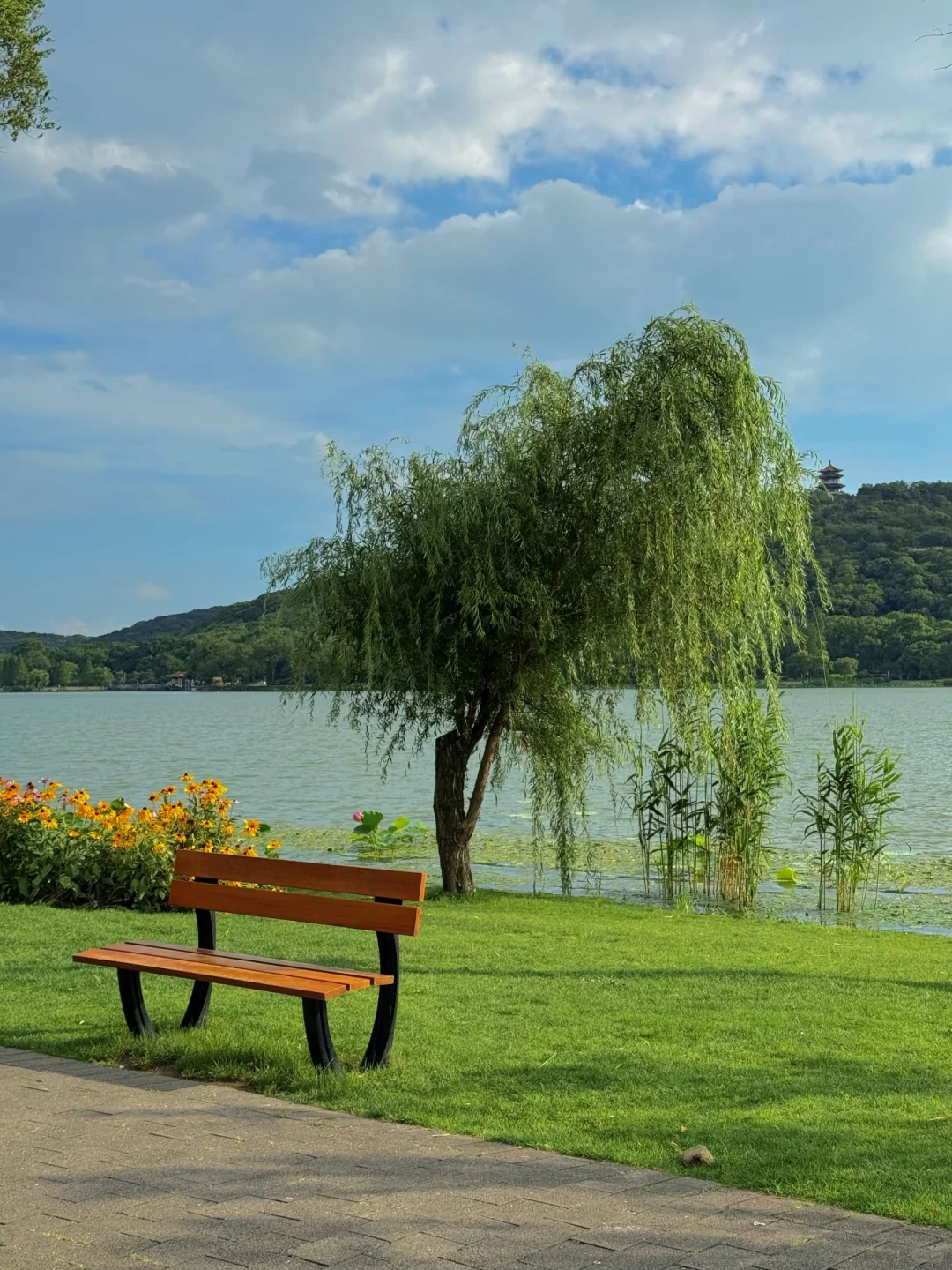 无锡夏天最迷人的小岛，我会反复爱上。