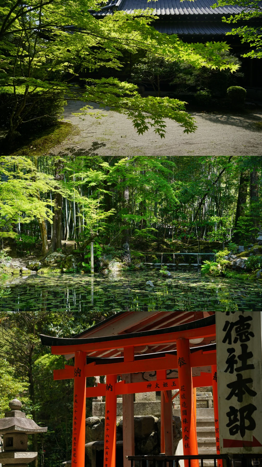 未曾设想的道路-京都攻略（避开人流版）