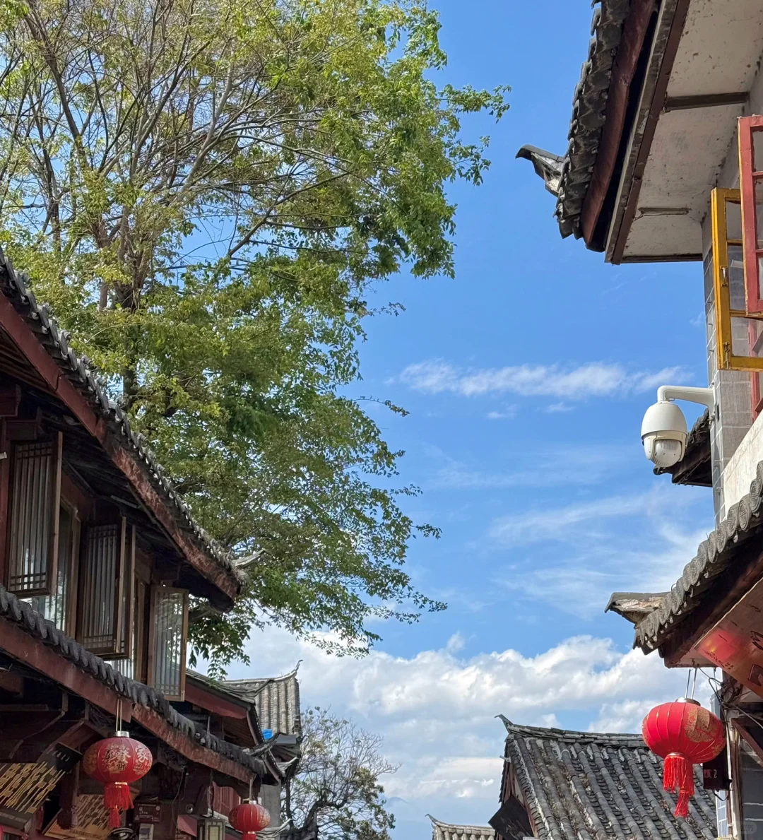 关于和闺蜜报了个云南纯玩团后续（纯分享）