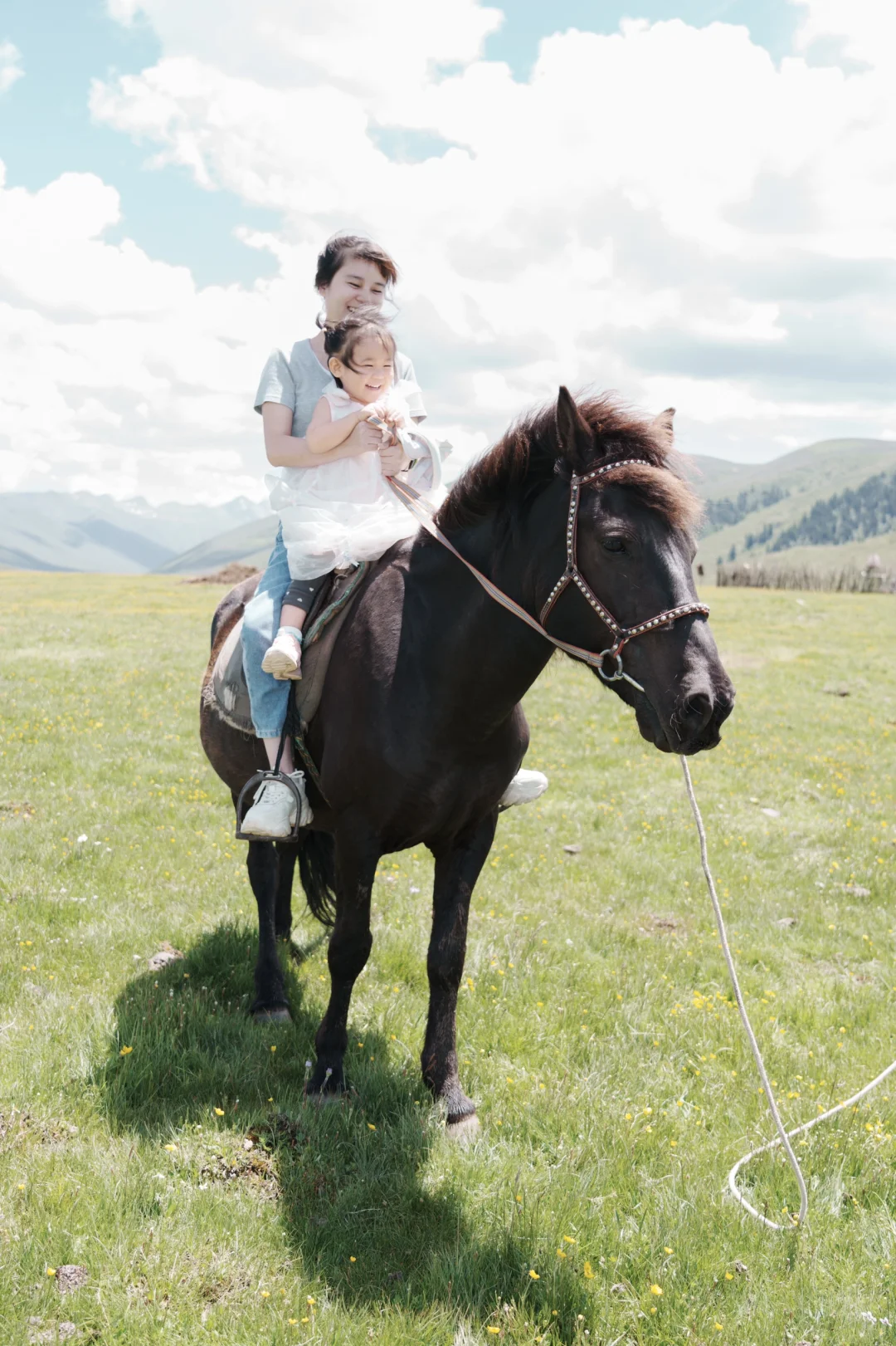 花海去什么俄么塘，达格则啥都能实现。