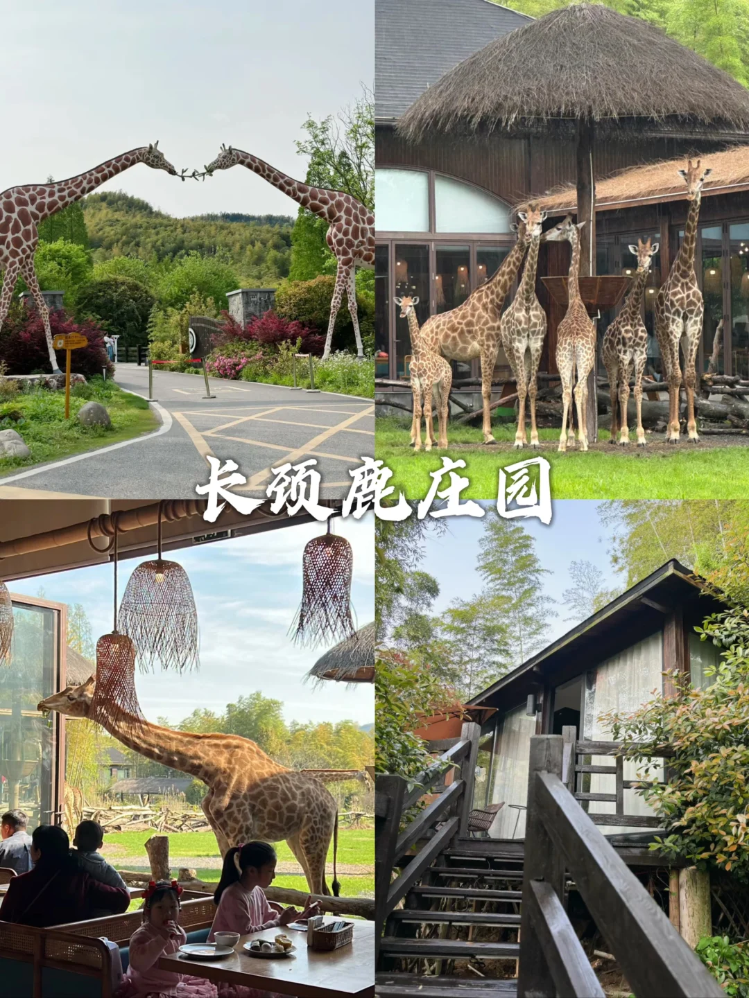 湖州旅游不要错过这几个地方