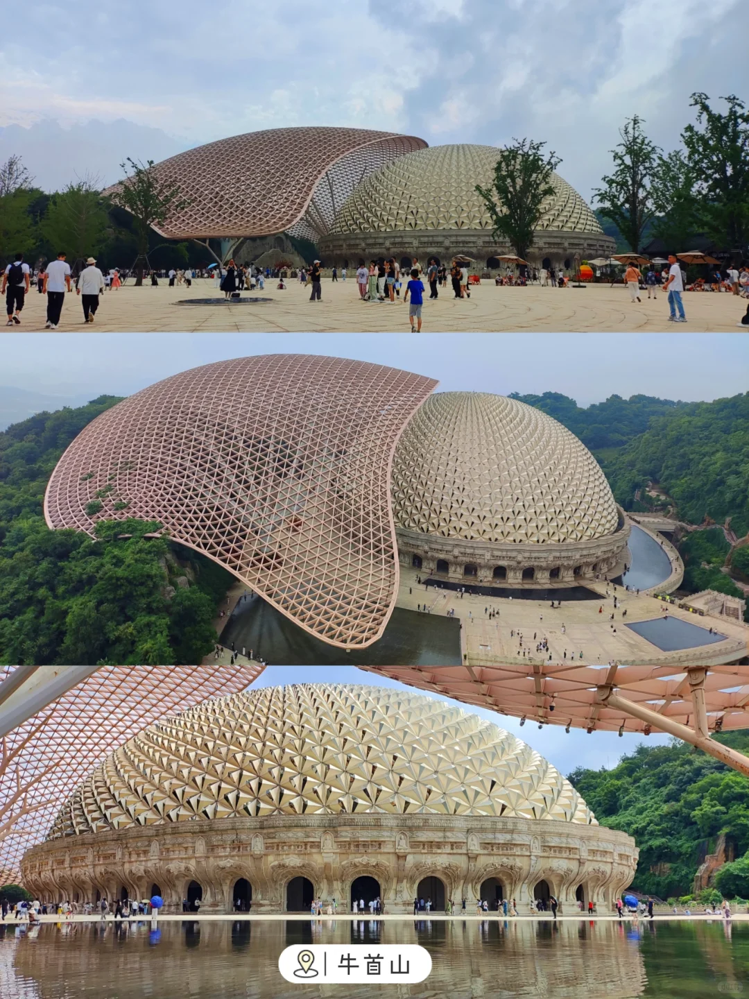 💥南京热门景区免费开放啦！下半年更精彩