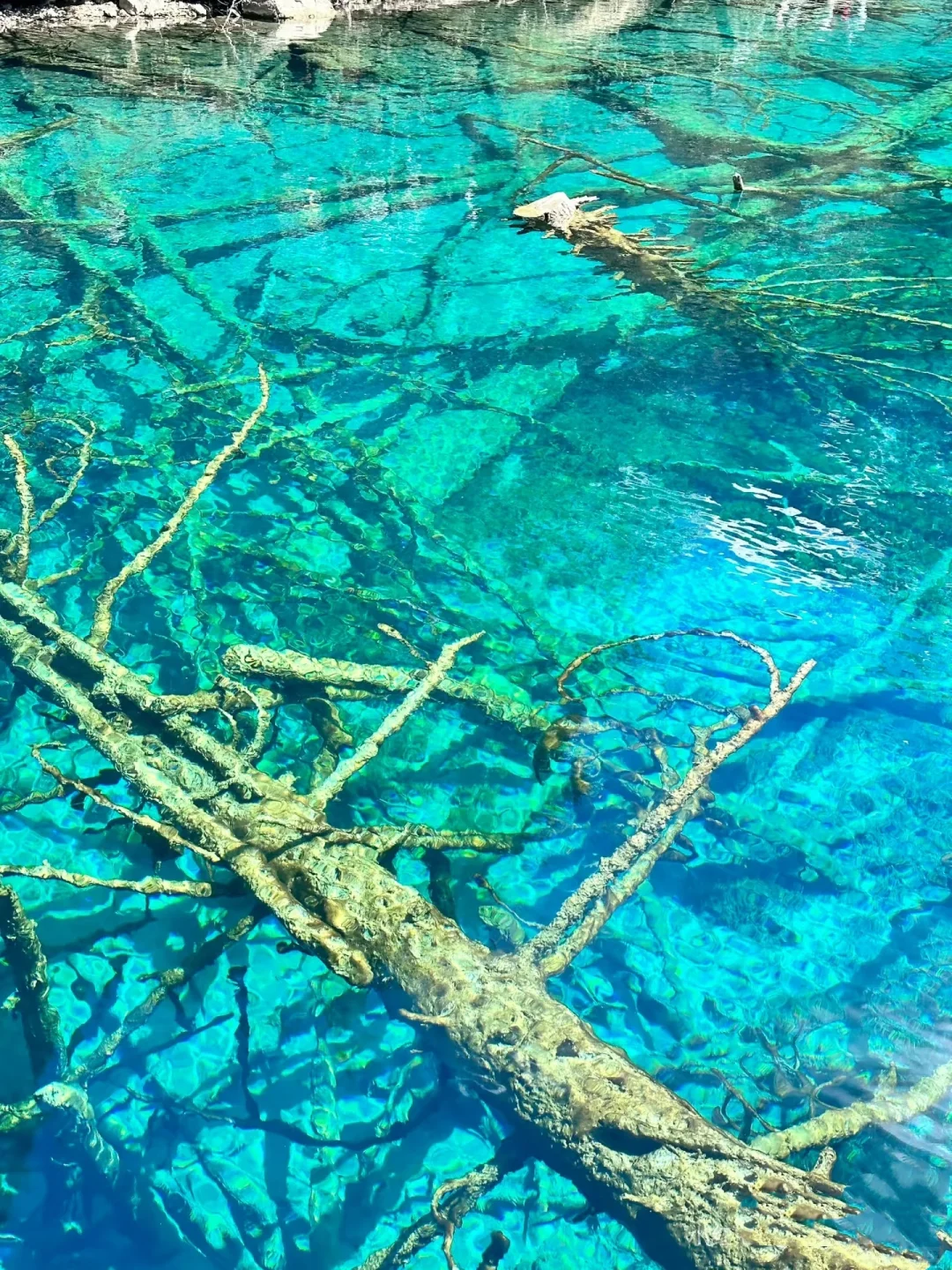 1000块💰玩转九寨沟两天一夜