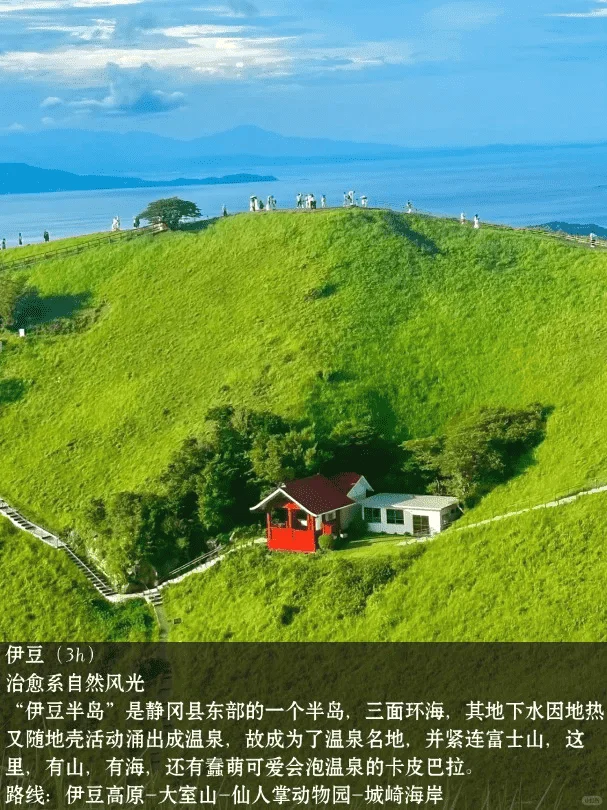 东京近郊一日游精选|小众热门线路一览