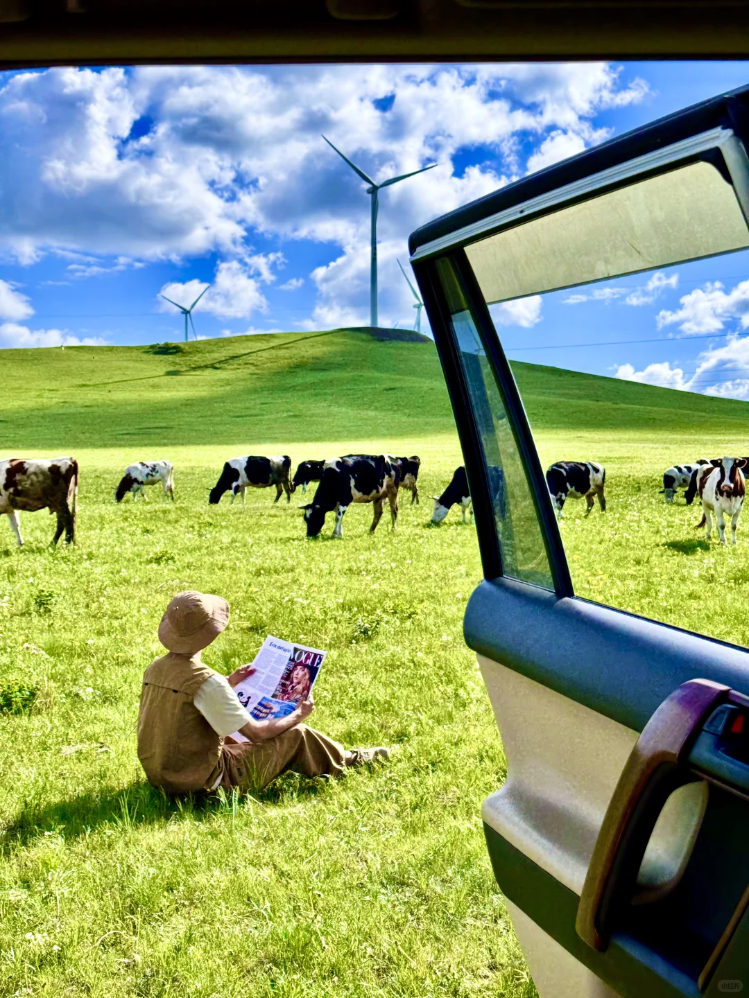 跟朋友去了趟内蒙古，真的可以媲美新西兰了…