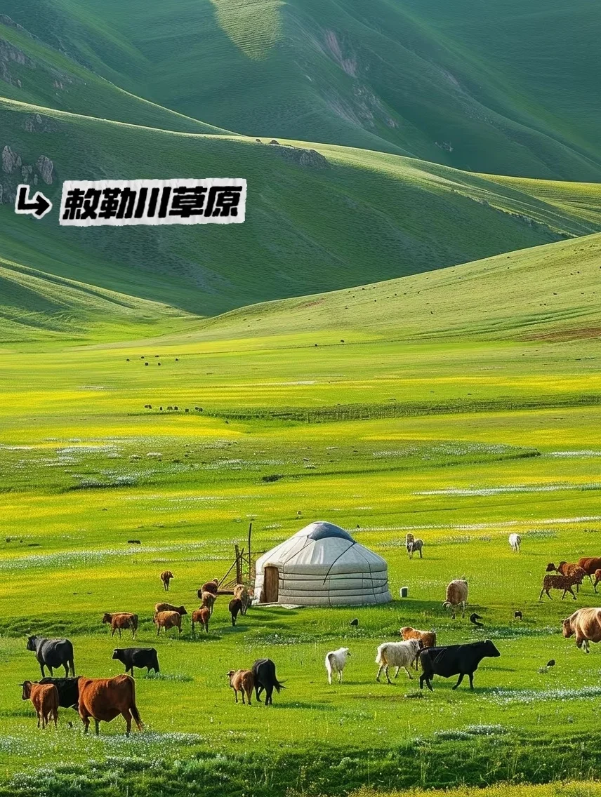 人生建议：6-9月一定要去一次内蒙古