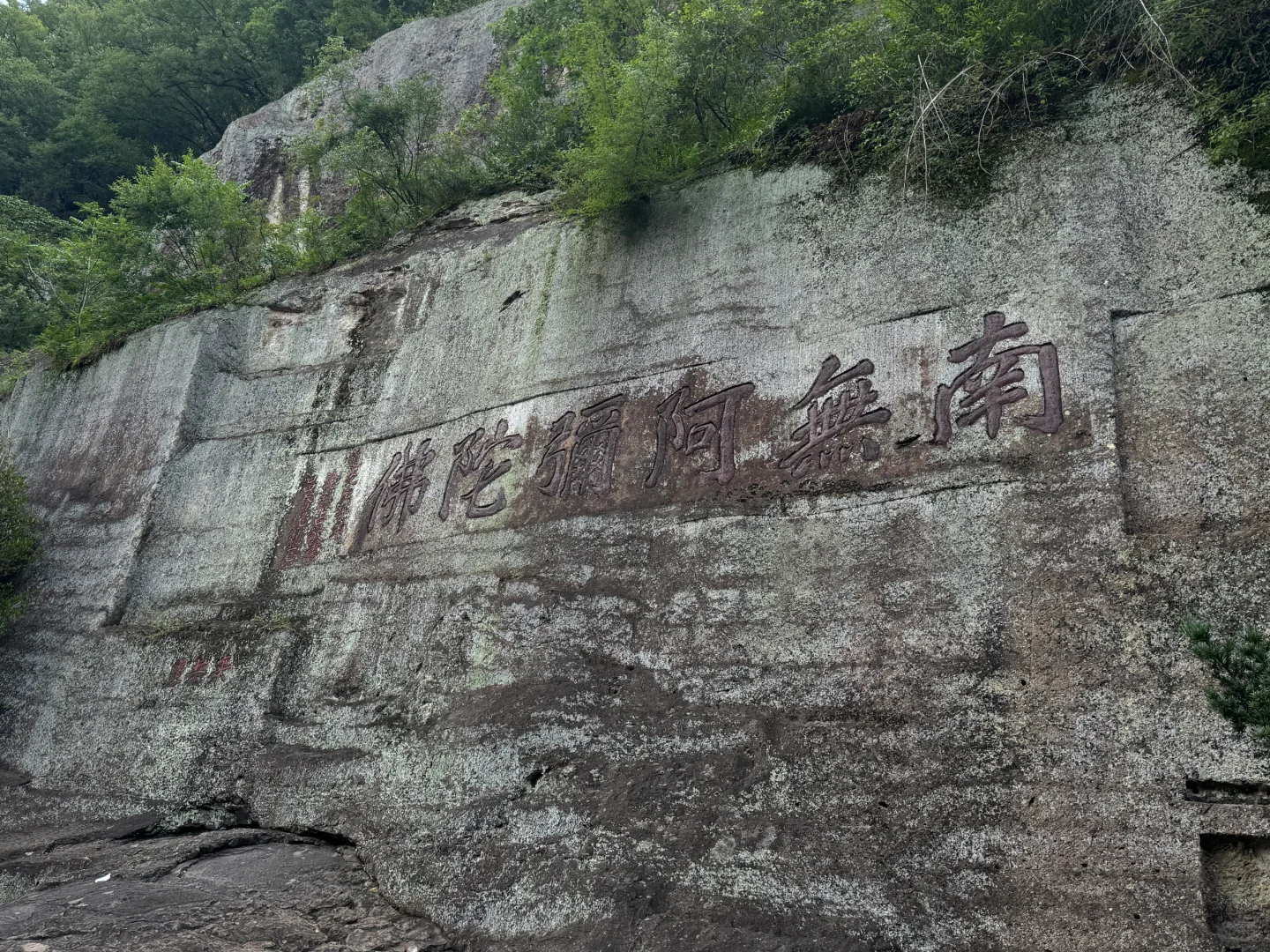 这景区的小众路线，清净到能听见花开💐