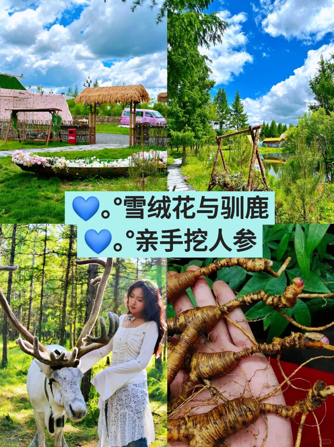 延吉，长白山❗本地十一年旅游经验推荐攻略