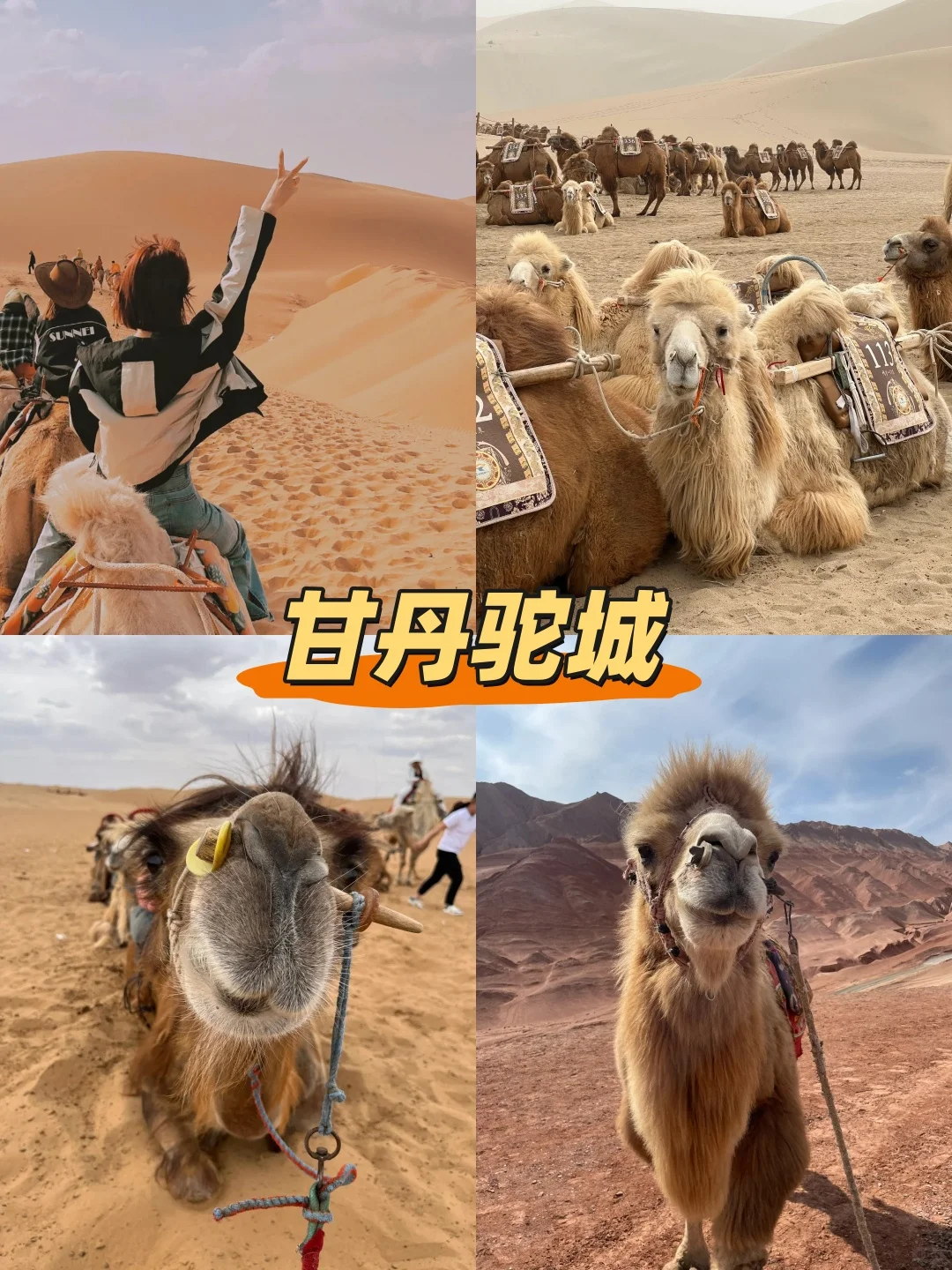 🌊北戴河+秦皇岛+乌兰布统应该怎么玩？