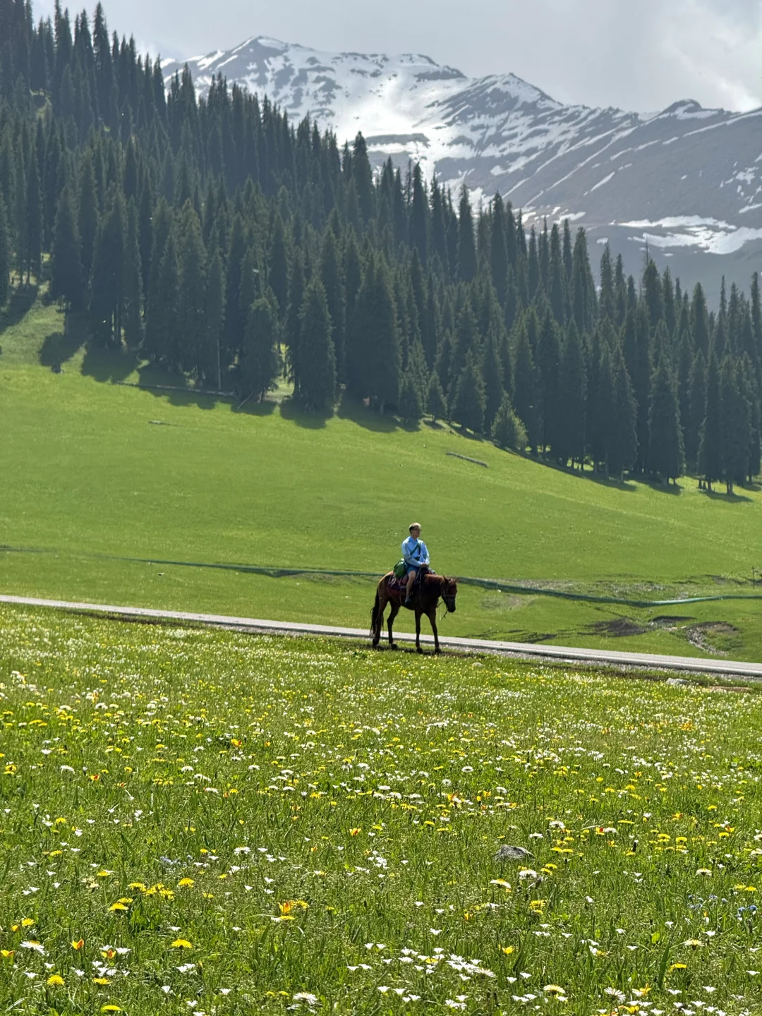 在新疆拍到了，我的人生live图！