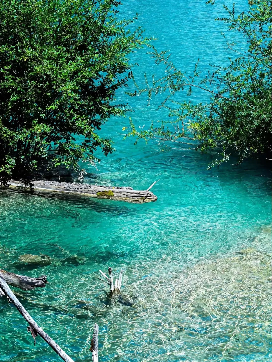 1000块💰玩转九寨沟两天一夜