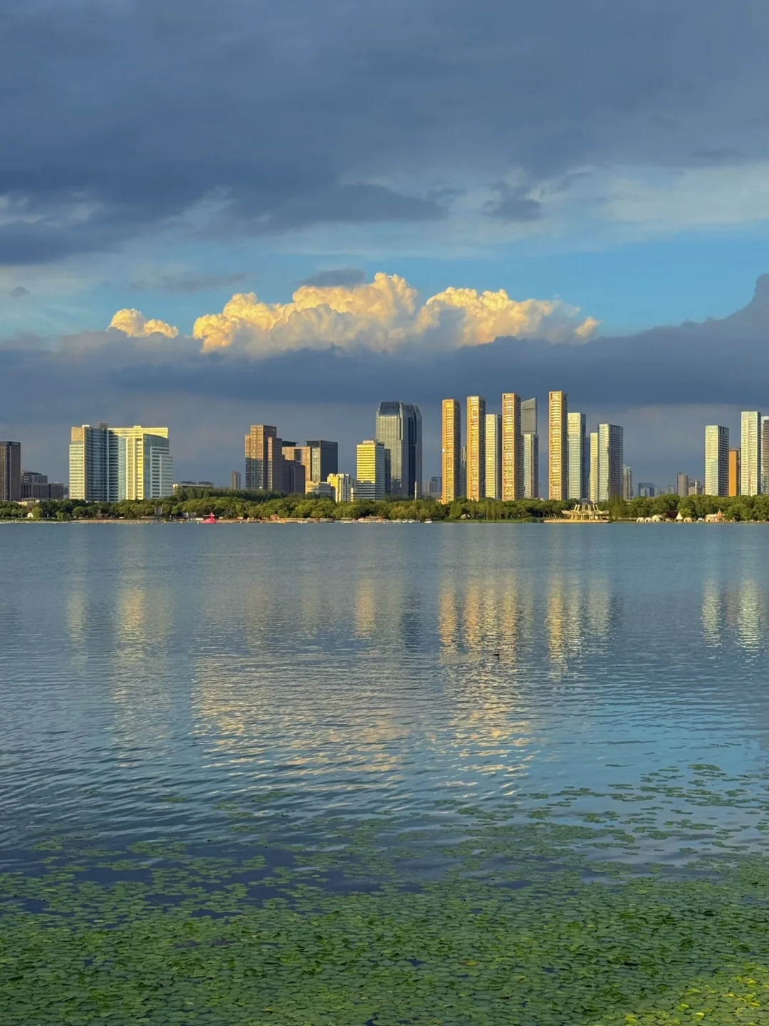 无锡夏天最迷人的小岛，我会反复爱上。