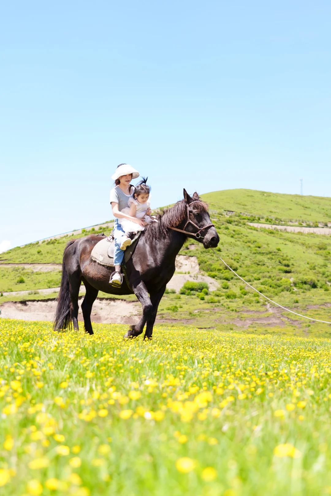 花海去什么俄么塘，达格则啥都能实现。