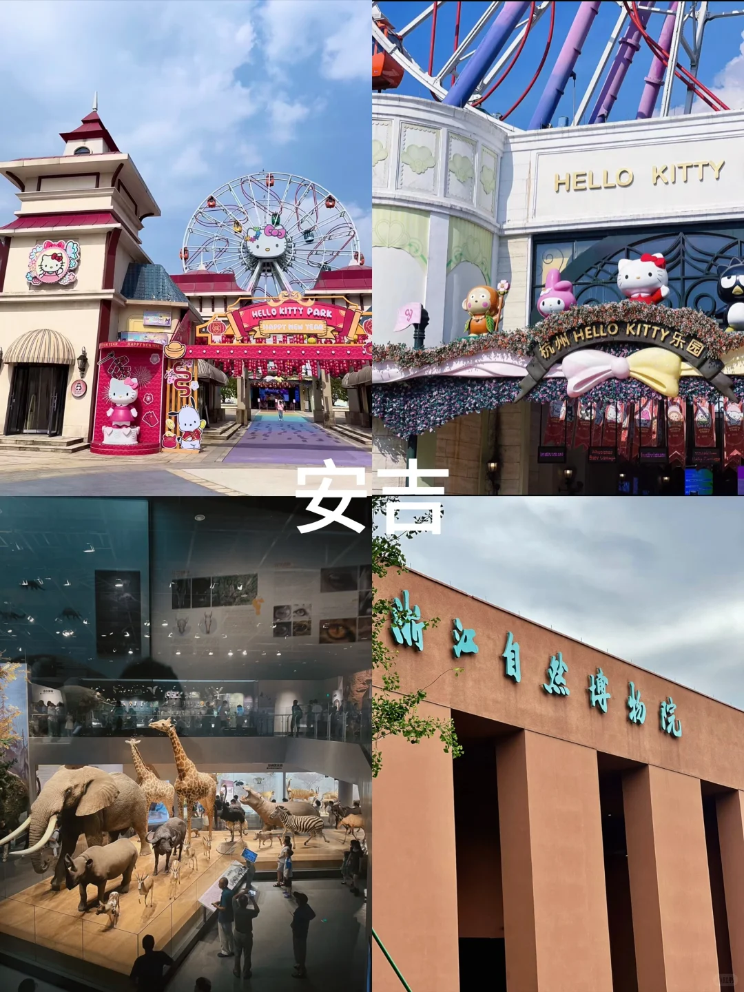 一篇文章搞定夏季江浙沪团建‼保姆级攻略