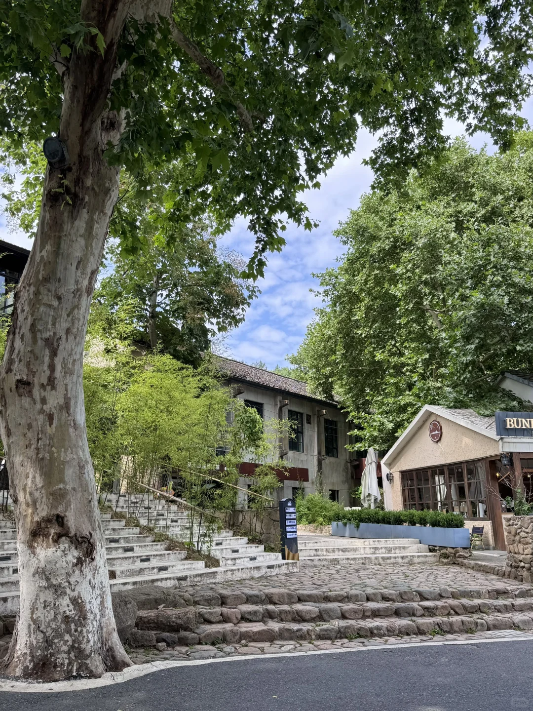 去莫干山一次等于看心理医生一百次‼️附攻略