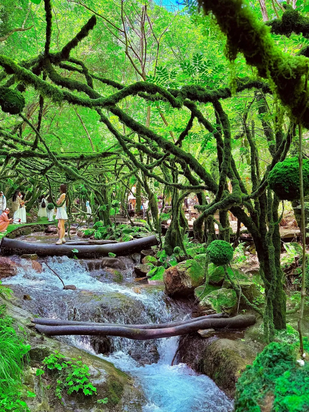 郑州周边｜闯入现实版绿野仙踪——重渡沟