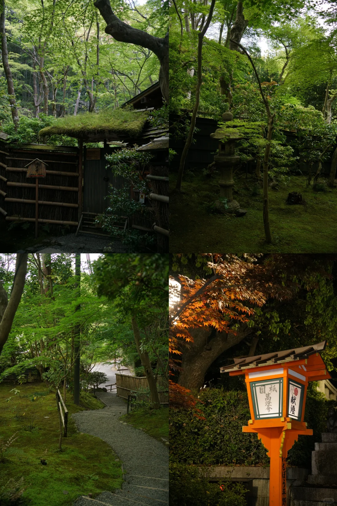 未曾设想的道路-京都攻略（避开人流版）