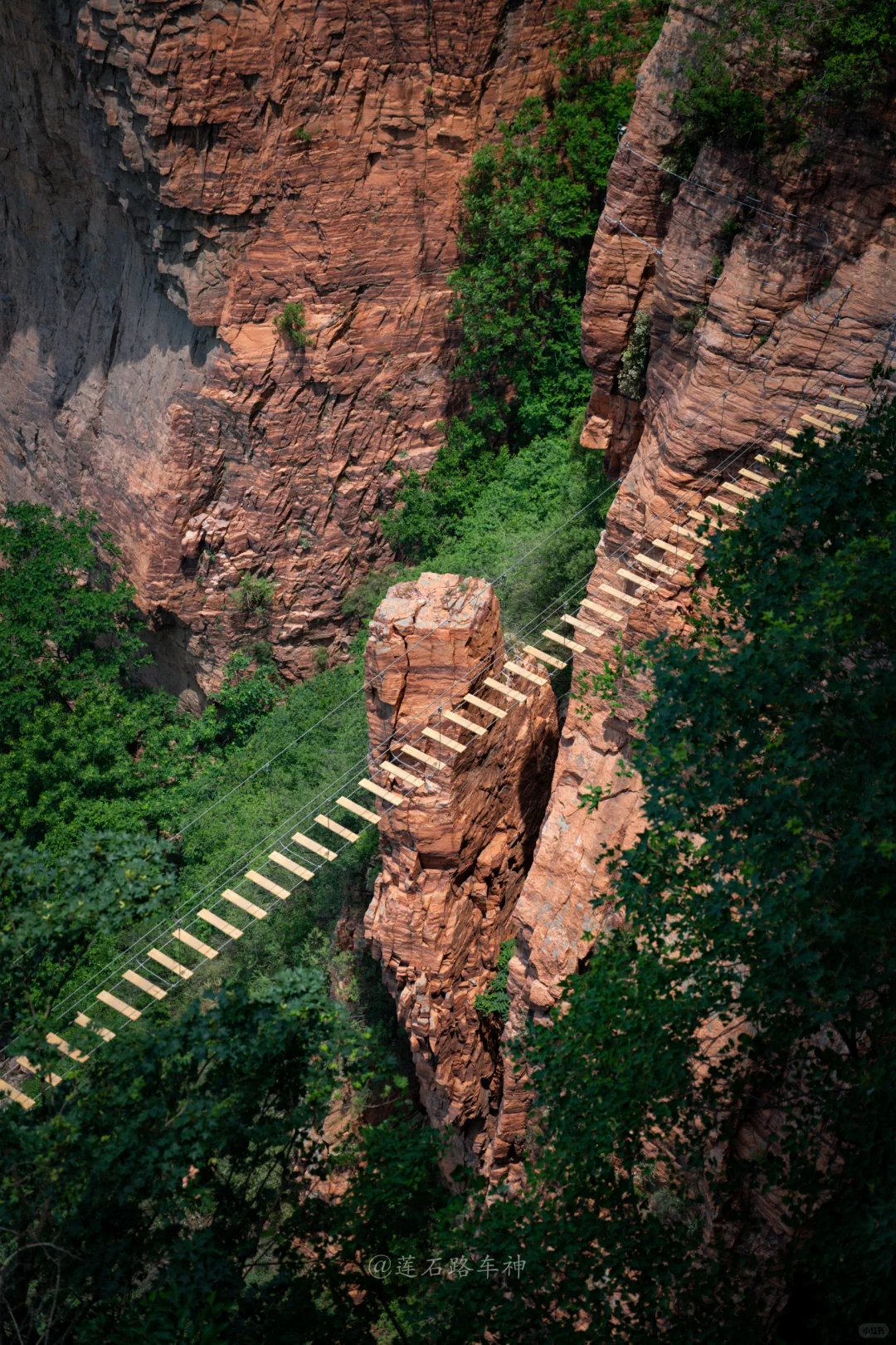 上山坐电梯，下山坐滑梯，人少景美东太行