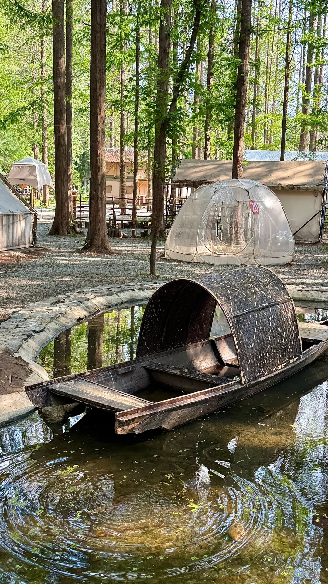 河南 你又美出了新高度🔝三天两夜